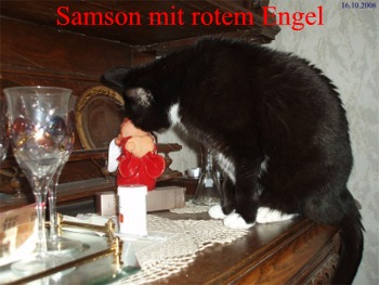 SAMSON111a3