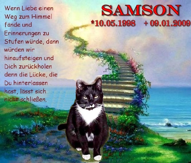 SAMSON120